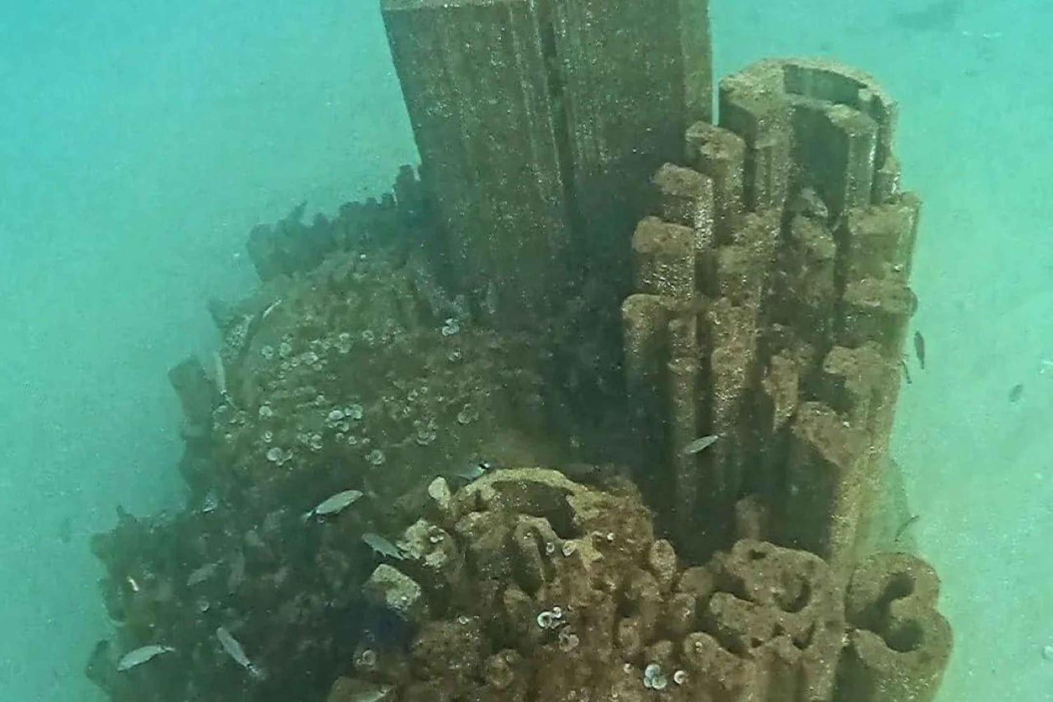 Albufeira: Doppeltes Tauchen im Meer für zertifizierte Taucher