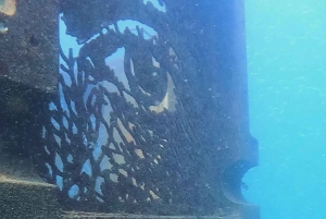 Albufeira: Doppeltes Tauchen im Meer für zertifizierte Taucher