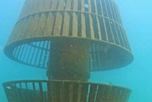 Albufeira: Doppeltes Tauchen im Meer für zertifizierte Taucher