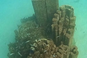 Albufeira: Doppeltes Tauchen im Meer für zertifizierte Taucher