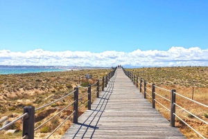 Albufeira: E-Bike Rentals with Hotel Pick Ups