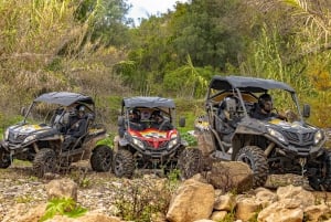 Albufeira: dagvullende buggytour met lunch