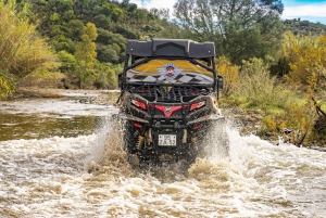 Albufeira: Full Day Off-Road Buggy Tour with Lunch & Guide