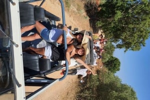 アルブフェイラ：アルガルヴェ山脈の 1 日サファリ ツアー