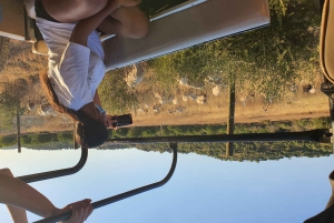 アルブフェイラ：アルガルヴェ山脈の 1 日サファリ ツアー