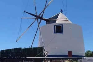 アルブフェイラ：アルガルヴェ山脈の 1 日サファリ ツアー