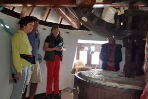 アルブフェイラ：アルガルヴェ山脈の 1 日サファリ ツアー