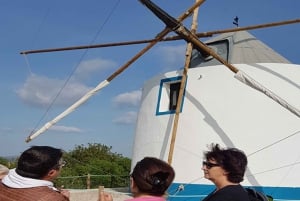 アルブフェイラ：アルガルヴェ山脈の 1 日サファリ ツアー