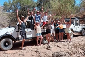 アルブフェイラ：アルガルヴェ山脈の 1 日サファリ ツアー