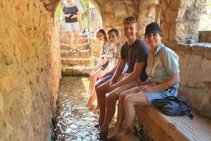 アルブフェイラ：アルガルヴェ山脈の 1 日サファリ ツアー