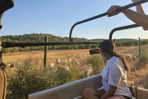 Albufeira: Full Day Safari Excursion in Algarve Mountains