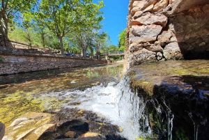 Albufeira: Full Day Safari Excursion in Algarve Mountains