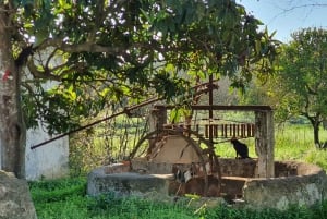 Albufeira: Full Day Safari Excursion in Algarve Mountains