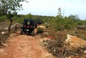 Albufeira: Half-Day Guided Off-Road Buggy Tour