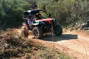 Albufeira: Half-Day Guided Off-Road Buggy Tour