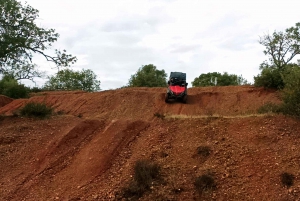 Albufeira: Half-Day Guided Off-Road Buggy Tour