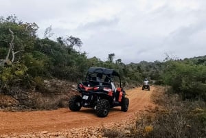 Albufeira: Guided Off-Road Buggy Quest 1 Hour