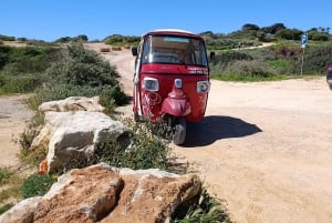 Albufeira: Wycieczka z przewodnikiem tuk-tukiem