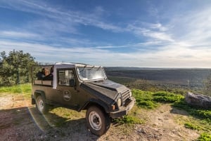 Albufeira: halvdags Jeep Safari i Algarve