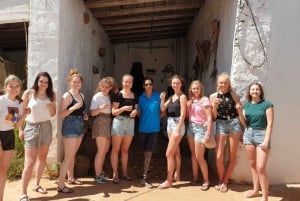Albufeira: Aventura de Jipe de Meio Dia pelo Algarve