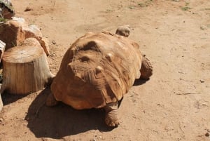 Albufeira Jeep Safari with Zoo