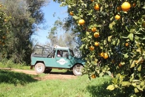 Albufeira Jeep Safari with Zoo