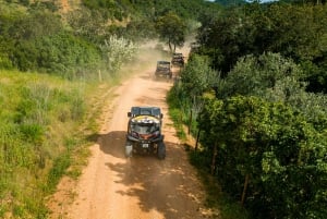 Albufeira : Aventure en buggy tout-terrain