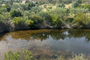 Albufeira: Off-Road Jeep Tour with Sunset