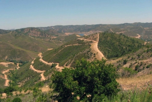 Albufeira: Off-road Quad Bike Adventure