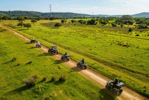 Albufeira: Off-Road Quad Tour 90-Minutes