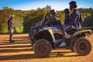 Albufeira: Off-Road Quad Tour 90-Minutes