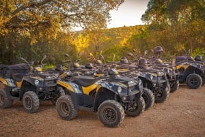 Albufeira: Off-Road Quad Tour 90-Minutes