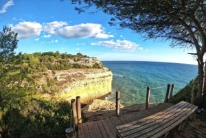 Albufeira, Olhão, Faro : Geführte Wanderung durch die sieben hängenden Täler