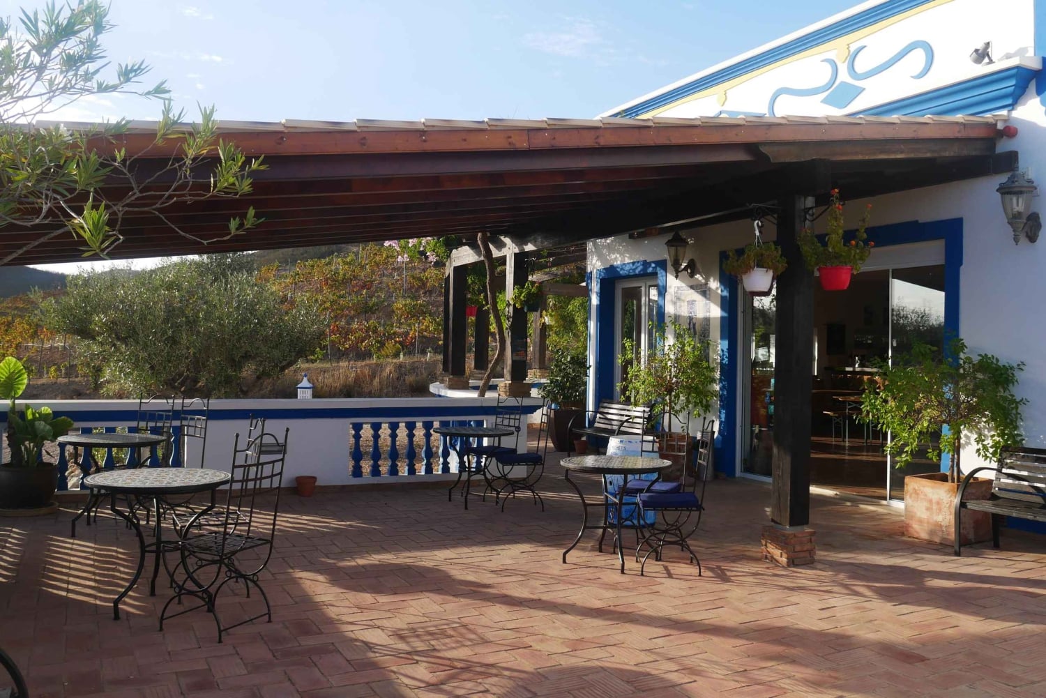 Albufeira, Olhão, Faro: Visit a vineyard, Free time in Silves