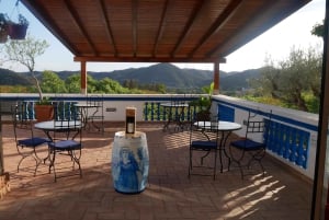 Albufeira, Olhão, Faro: Visit a vineyard, Free time in Silves