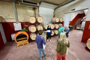 Albufeira, Olhão, Faro: Visit a vineyard, Free time in Silves