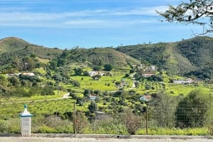 Albufeira, Olhão, Faro: Visit a vineyard, Free time in Silves