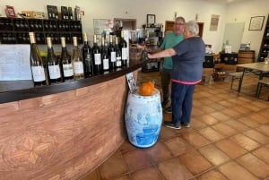 Albufeira, Olhão, Faro: Visita a uma vinha, tempo livre em Silves