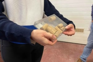 Albufeira, Olhão, Faro: Visita a uma vinha, tempo livre em Silves