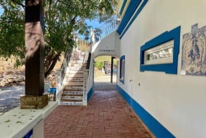 Albufeira, Olhão, Faro: Visita a uma vinha, tempo livre em Silves