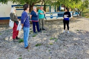Albufeira, Olhão, Faro: Visita a uma vinha, tempo livre em Silves