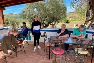 Albufeira, Olhão, Faro: Visita a uma vinha, tempo livre em Silves
