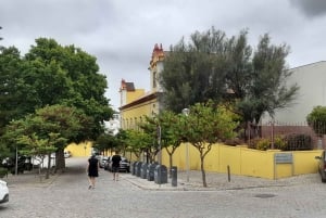 Albufeira: Excursión de un día al Mercado de Olhão, Tavira, Faro y Ría Formosa