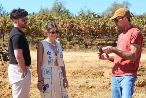 Albufeira/Porches/Vilamoura: Wine Tasting with Tapas & Music