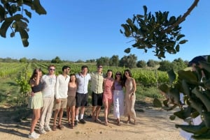 Albufeira/Porches/Vilamoura: Wine Tasting with Tapas & Music