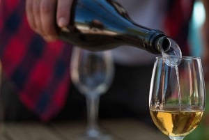 Albufeira/Porches/Vilamoura: Wine Tasting with Tapas & Music