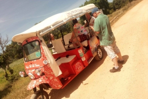 Albufeira: Private Countryside Tour