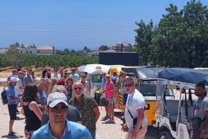 Albufeira: Private Sightseeing Tuk-Tuk Tour with Pickup