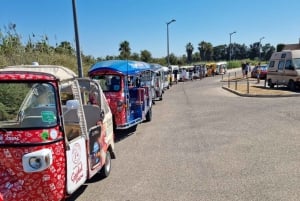 Albufeira: tour privato in tuk-tuk con prelievo