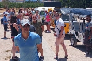 Albufeira: Excursão Turística Privada de Tuk-Tuk com Pickup